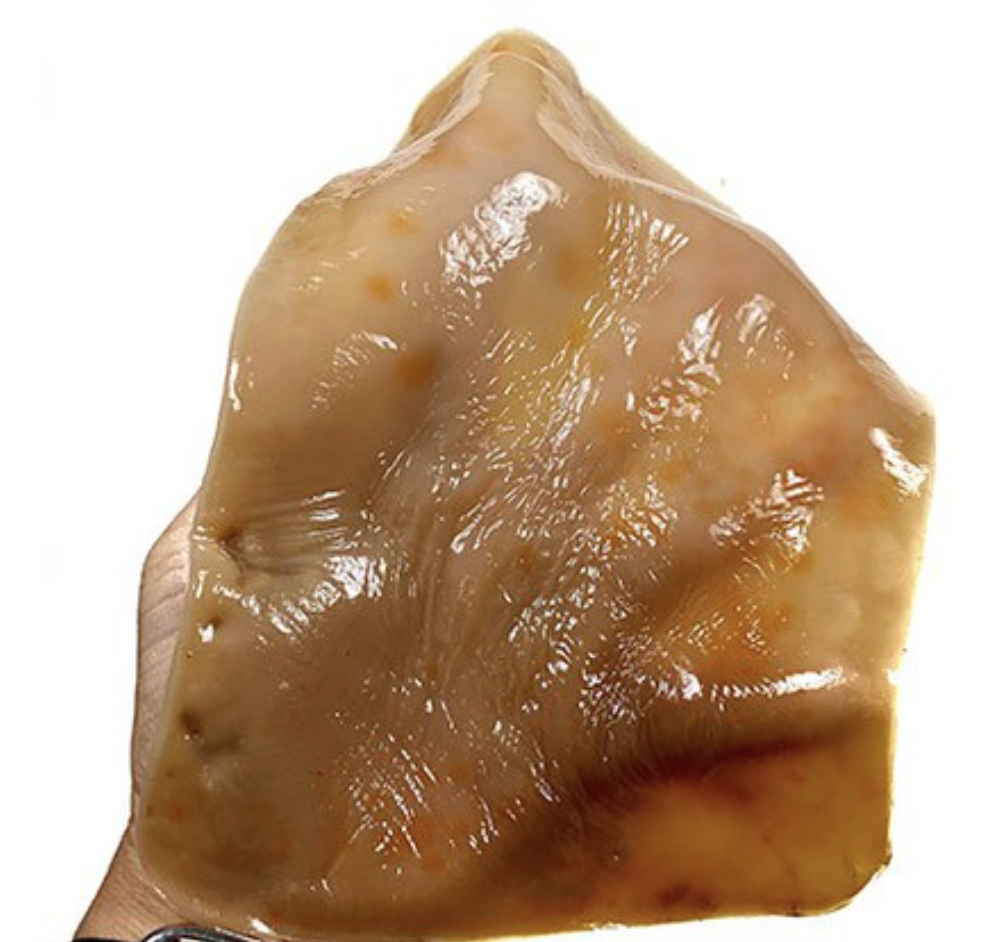 Kombucha